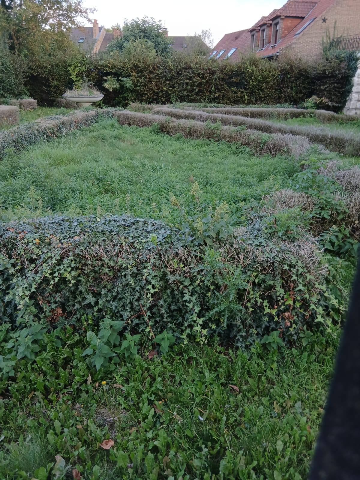 État des espaces publics à Saint-André : un constat préoccupant